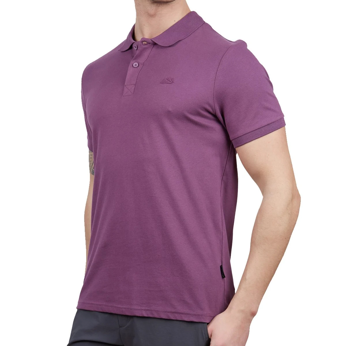 Erkek Polo Yaka Tişört - Pamuklu Spor Tişört - Stratus - Mürdüm (600303)